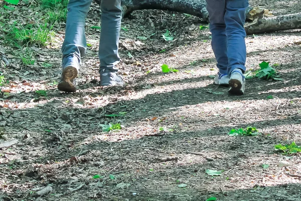 Család Gyerekekkel Túrázik Erdőben Turisták Átutaznak Erdőn Cserkészek Apa Felfedezik — Stock Fotó