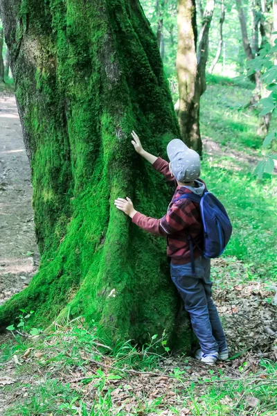 Family Children Hiking Forest Tourists Travel Woods Scout Kids Dad — Stock Photo, Image