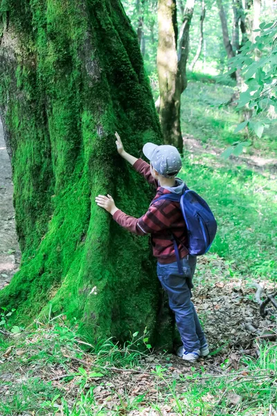 Rodzina Dziećmi Wędrująca Lesie Turyści Podróżują Przez Las Dzieci Harcerzy — Zdjęcie stockowe