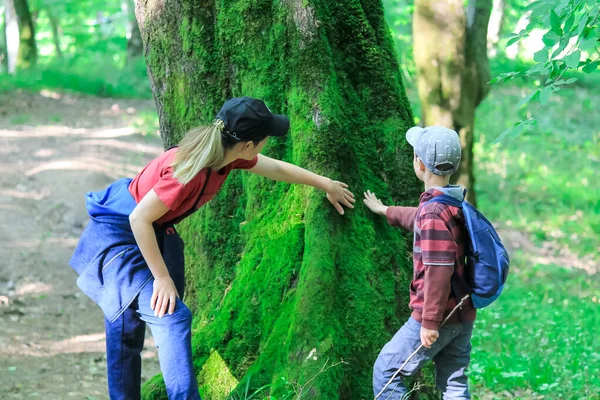 Familie Mit Kindern Wandern Wald Touristen Reisen Durch Die Wälder — Stockfoto