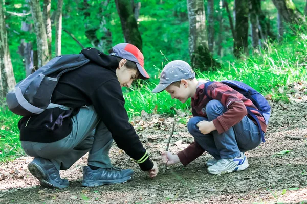 Kinder Spielen Wald Auf Dem Weg Familie Mit Kindern Reist — Stockfoto