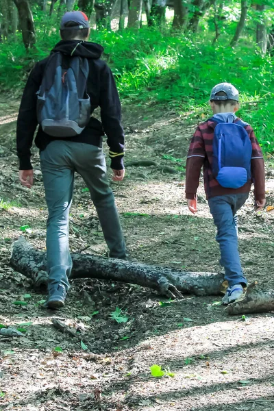 Család Gyerekekkel Túrázik Erdőben Turisták Átutaznak Erdőn Cserkészek Apa Felfedezik — Stock Fotó