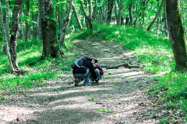 Barn Leker Skogen Stigen Familjer Med Barn Färdas Genom Skogen — Stockfoto