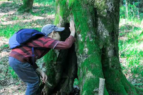 Familie Mit Kindern Wandern Wald Touristen Reisen Durch Die Wälder — Stockfoto