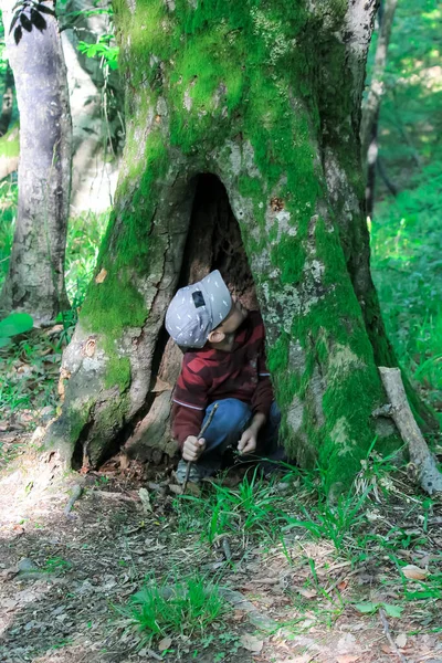 Familie Mit Kindern Wandern Wald Touristen Reisen Durch Die Wälder — Stockfoto