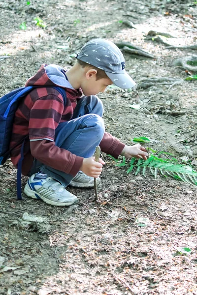 Familie Mit Kindern Wandern Wald Touristen Reisen Durch Die Wälder — Stockfoto