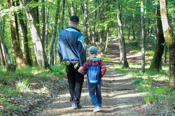 Család Gyerekekkel Túrázik Erdőben Turisták Átutaznak Erdőn Cserkészek Apa Felfedezik — Stock Fotó