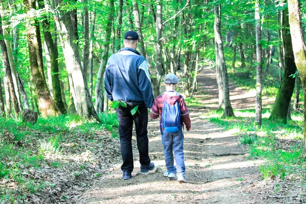 森の中をハイキングする子供たちと家族 観光客は森の中を旅する スカウトの子供とお父さんは美しい森を探索します アドベンチャータイム — ストック写真