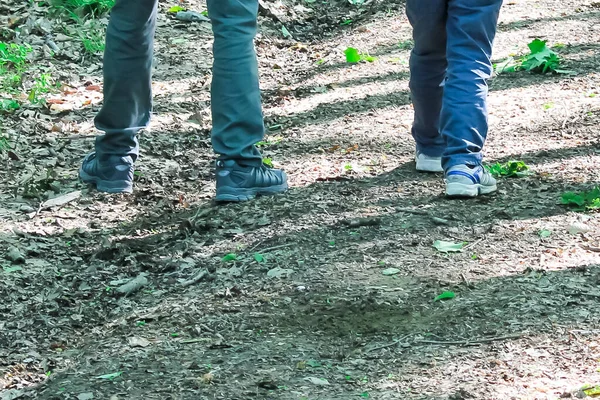 Beine Trekkingschuhen Laufen Großaufnahme Auf Einer Straße Einem Wald Familie — Stockfoto