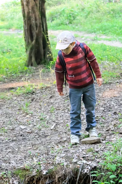 Familie Mit Kindern Wandern Wald Touristen Reisen Durch Die Wälder — Stockfoto