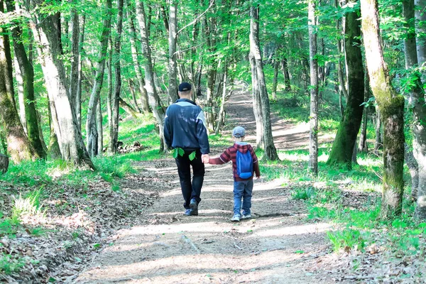 Család Gyerekekkel Túrázik Erdőben Turisták Átutaznak Erdőn Cserkészek Apa Felfedezik — Stock Fotó