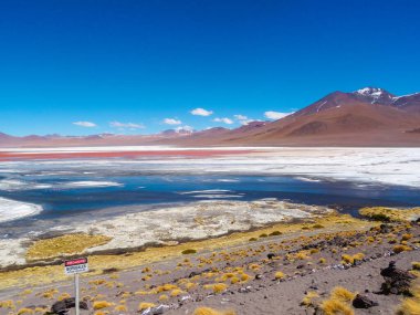 Laguna Colorada Yazan Salar de Uyuni, Bolivya