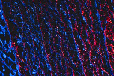 Mavi kırmızı desenli paketleme malzemesi