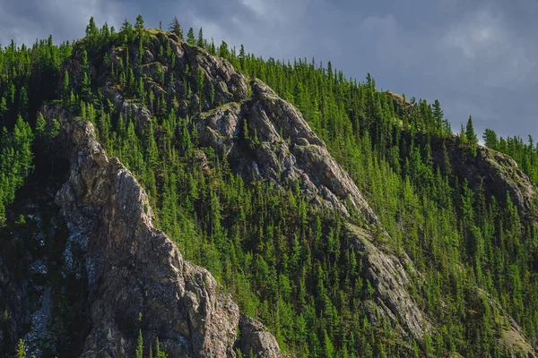 Imponerande Bergskedja Kuray Stäpp Altai Krai Ryssland — Stockfoto