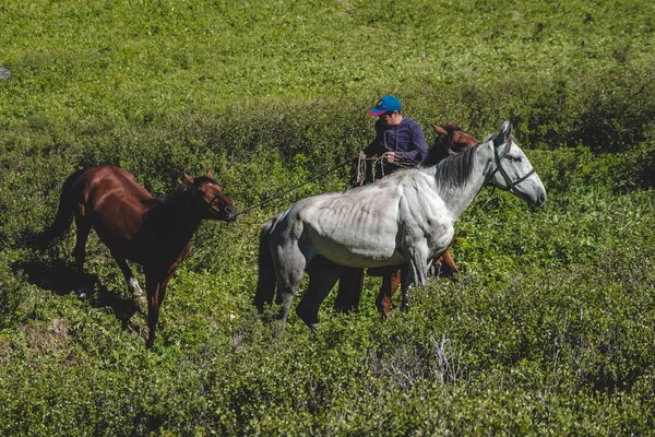 Ein Junger Reiter Auf Einem Braunen Pferd Überquert Ein Feld — Stockfoto