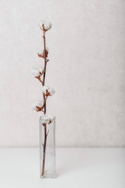 Beyaz bir masada, pamuk dalından bir vazo.