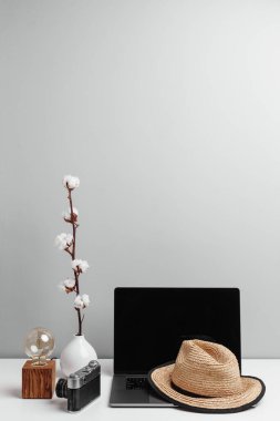 Kuru pamuk çiçek dalı, eski moda kamera, yaz şapkası ve dizüstü bilgisayar.