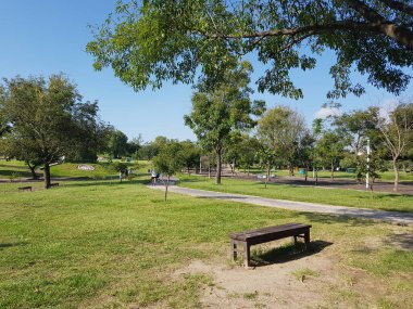 Bir banklı Guadalajara Metropolitan Parkı manzarası