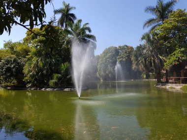 Papagayo Parkı göletindeki küçük fıskiyeler ve çok sayıda ağaç, Acapulco
