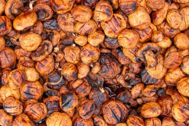 Mantar şampiyonları ızgarada. Hobi olarak yemek pişirmek. Profesyonel aşçılık..