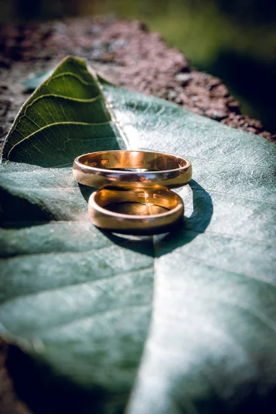 Anéis Casamento Pedra Fundo Verde Gramado Preparação Para Casamento — Fotografia de Stock