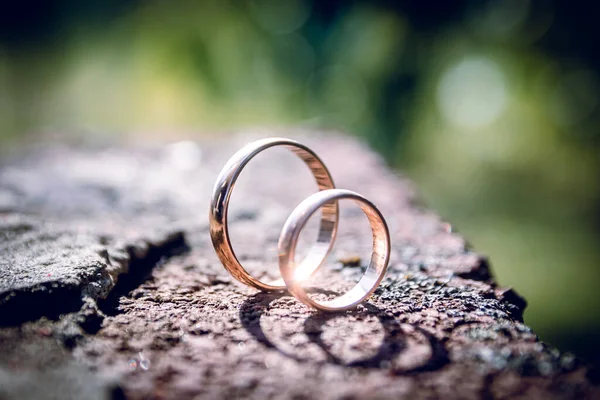 Svatební Prsteny Kamenném Zeleném Travnatém Pozadí Příprava Svatbu — Stock fotografie