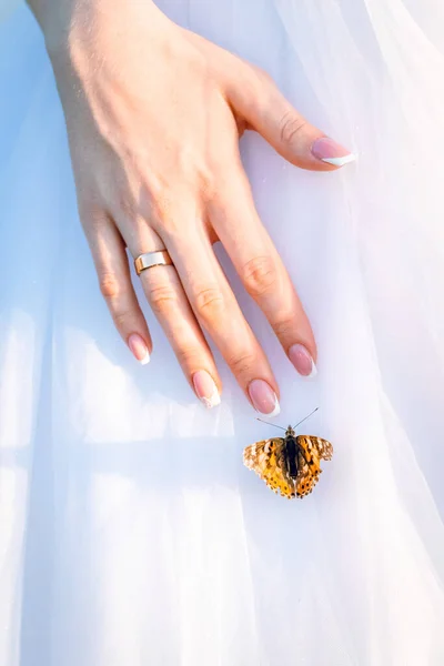Wedding, the bride\'s hand and live a natural butterfly.