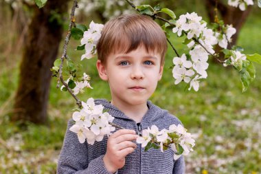 Botanik elma bahçesinde çiçekli bir çocuk. Yeşil çimenlerin ve çiçek açan ağaçların arka planında.