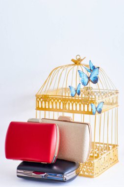 İki dişi, bir kuş kafesinin arka planında kırmızı ve bej rengini tutuyor. Açık beyaz arkaplan.