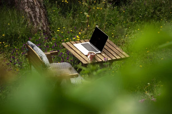 A remote workplace in the form of a wooden chair and a table with a laptop and a red cup of tea in the forest among yellow and purple flowers, with blurry leaves in the foreground.