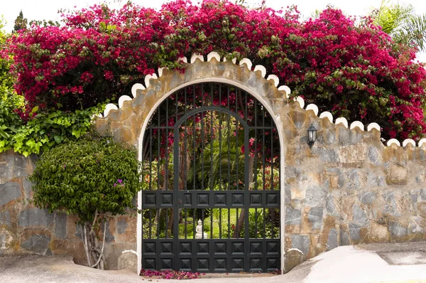 Stone wall with a metal grill-door leading to the garden, a bush of red flowers on top and a green bush on the side.