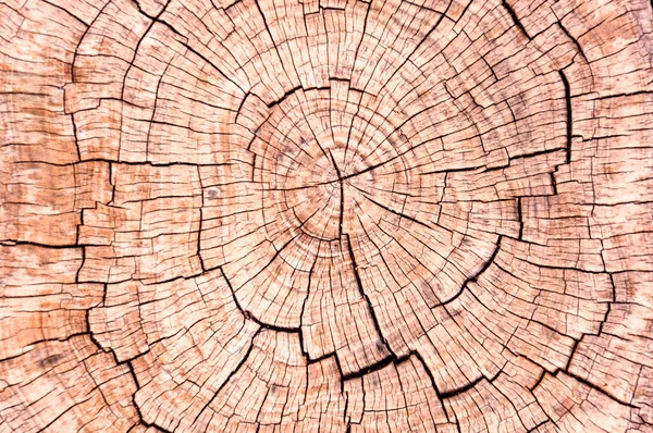 老树的树桩 有裂缝和纹理图案 — 图库照片