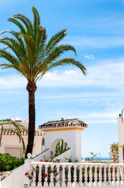 İspanyol avlusunun beyaz mimari yapıları ve mavi gökyüzüne karşı ince bulutlu uzun palmiye ağaçları.