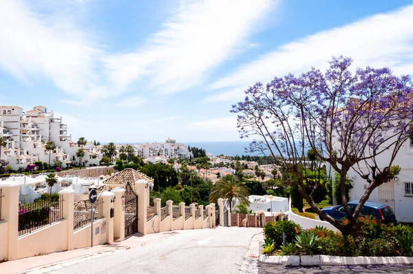 İspanyol kıyı köyünün panoramik manzarası, deniz ve gökyüzü tüy bulutları ve ön planda menekşe ağacı