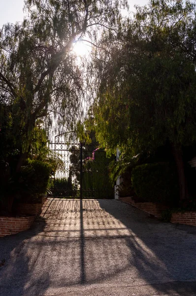 Forged Metal Gate Green Trees Sides Bright Sun Gives Contrasting — Stock Photo, Image