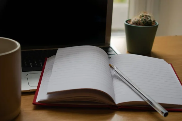 Office workspace with pen and notebook and a computer and a cactus at the background