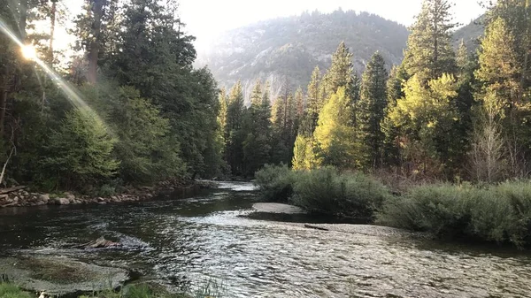 Kings River 'ın şaşırtıcı doğası, Kings Canyon, ABD