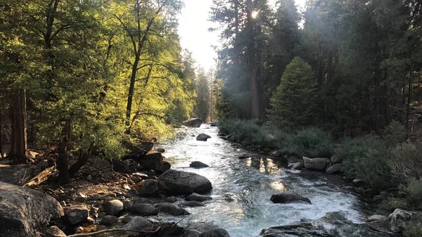 Schöner Kings River, Kings Canyon, Kalifornien, USA — Stockfoto