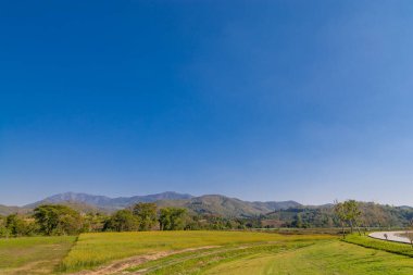 Mavi gökyüzü ve boş yamaç resmi, saf ve güzel...