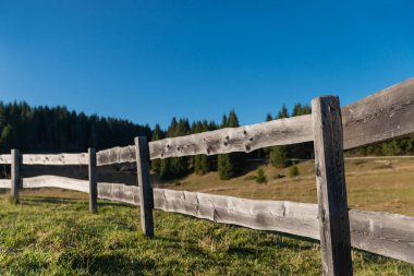 Trentino Dolomitleri 'nde otlakları olan kırsal bir çit. Güneş ve yağmurla yaşlanan tahta tahtalar. Bir sonbahar günü, mavi renk bulutsuz gökyüzüne hakim olur. Arka planda ladin ormanları var. İtalya