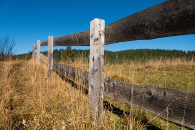 Trentino Dolomitleri 'nde otlakları olan kırsal bir çit. Güneş ve yağmurla yaşlanan tahta tahtalar. Bir sonbahar günü, mavi renk bulutsuz gökyüzüne hakim olur. Arka planda ladin ormanları var. İtalya