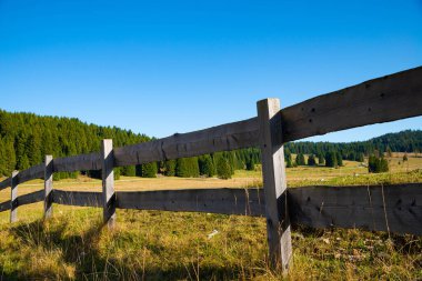 Trentino Dolomitleri 'nde otlakları olan kırsal bir çit. Güneş ve yağmurla yaşlanan tahta tahtalar. Bir sonbahar günü, mavi renk bulutsuz gökyüzüne hakim olur. Arka planda ladin ormanları var. İtalya