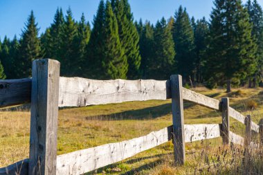 Trentino Dolomitleri 'nde otlakları olan kırsal bir çit. Güneş ve yağmurla yaşlanan tahta tahtalar. Bir sonbahar günü, mavi renk bulutsuz gökyüzüne hakim olur. Arka planda ladin ormanları var. İtalya