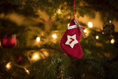 Geleneksel Advent Takvim Çorabı 7 Aralık tarihli geleneksel bir Noel ağacında asılı..