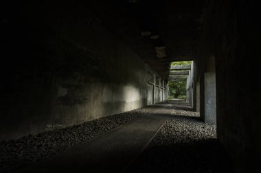 Doğa Parkı Schoneberger Sudgelande, Berlin, Almanya - 30 Ağustos 2017 - Sudgelande rezervindeki eski tüneller ve raylar