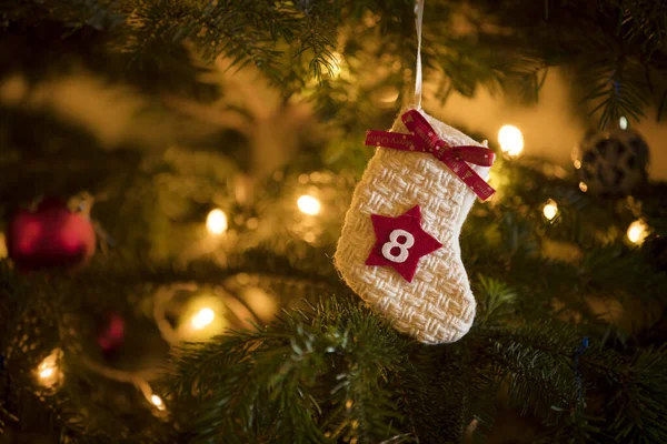 Geleneksel Advent Takvim Stoklama 8 Aralık tarihli geleneksel bir Noel ağacına asılı.