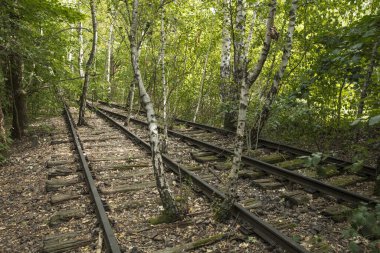 Doğa Parkı Schoneberger Sudgelande, Berlin, Almanya - 30 Ağustos 2017 - Sudgelande rezervinde kullanılmayan raylar