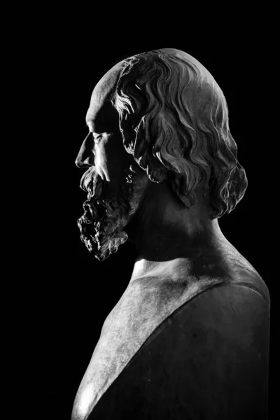 Copia Busto Del Siglo Xix Lord Alfred Tennyson Por Artista —  Fotos de Stock