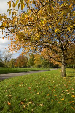 Manchester, Greater Manchester, İngiltere, Ekim 2013, Platt Fields Kamu Parkı, Fallowfield