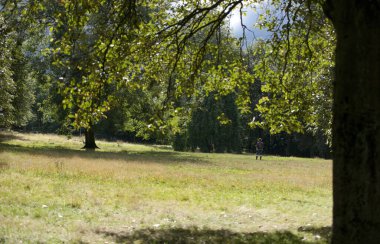 Kelvingrove Park, Glasgow, İskoçya, Birleşik Krallık, Eylül 2013, Kelvingrove Park 'taki parklar ve ağaçlar